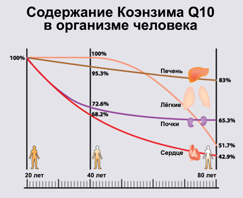 Коэнзим Q10